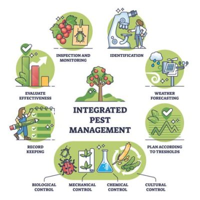  Integrated Pest Management for Rice: A Symphony of Sustainable Practices