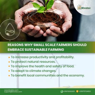  Knowledge for Smallholders: Unlocking Sustainable Farming Practices