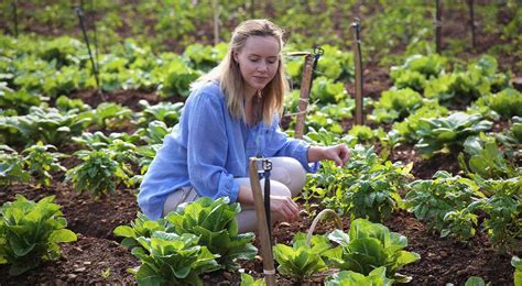  Where The Wind Takes Us: A Journey Through Sustainable Farming Practices – Harvesting Wisdom Amidst the Shifting Sands